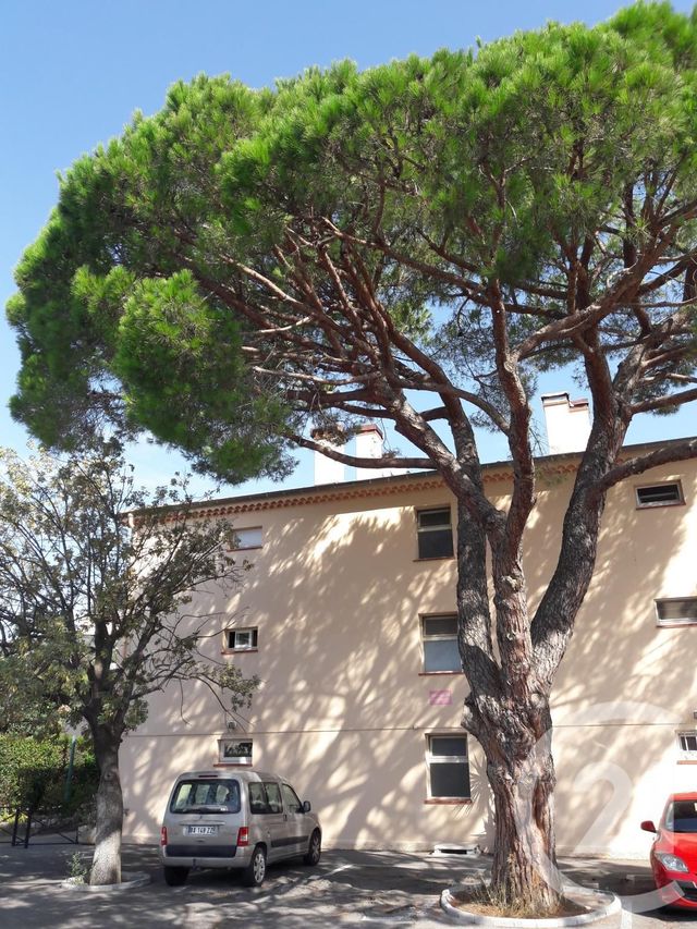 Appartement Studio à louer - 1 pièce - 18.62 m2 - MANDELIEU LA NAPOULE - 06 - PROVENCE-ALPES-COTE-D-AZUR - Century 21 Azurim
