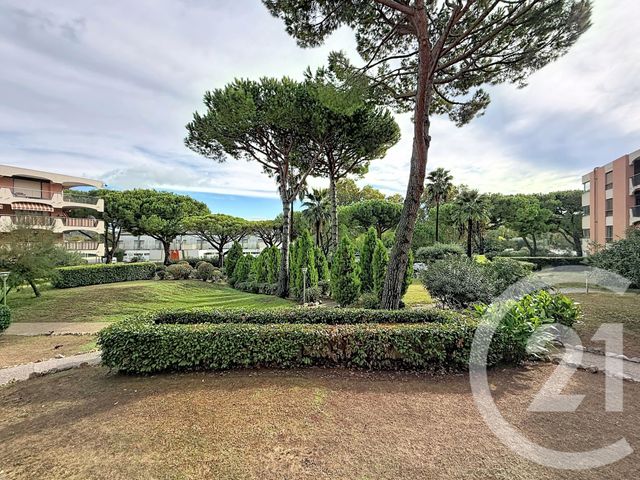 Appartement Studio à louer - 1 pièce - 25.6 m2 - MANDELIEU LA NAPOULE - 06 - PROVENCE-ALPES-COTE-D-AZUR - Century 21 Azurim